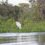 Com agravamento da seca na bacia do Pantanal, Agência Nacional de Águas alerta para situação